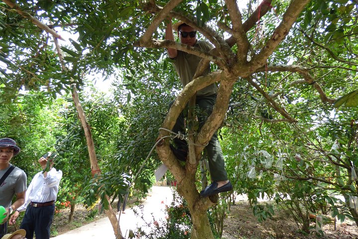 ben tre fruit yard