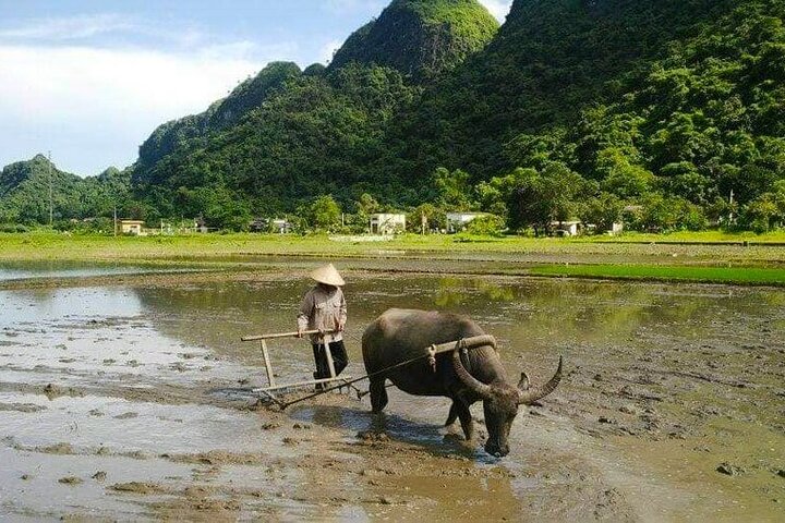 Best Day Trip Explore the Hidden Gems of Ninh Binh by Motorbike