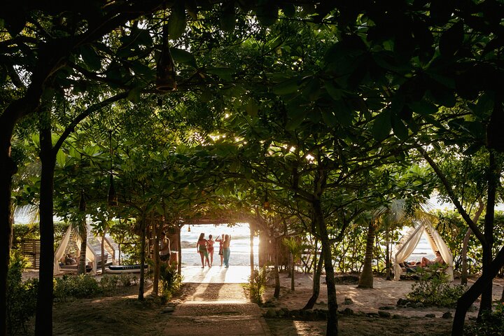 Blue Apple Beach Day: Sun, Music & Adventure from Cartagena