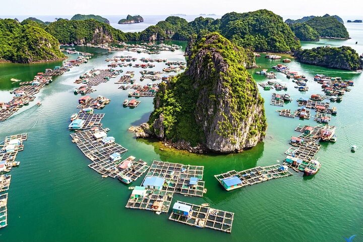 Boutique Cruises to Cat Ba Island & Lan Ha Bay from Hanoi (2D1N)