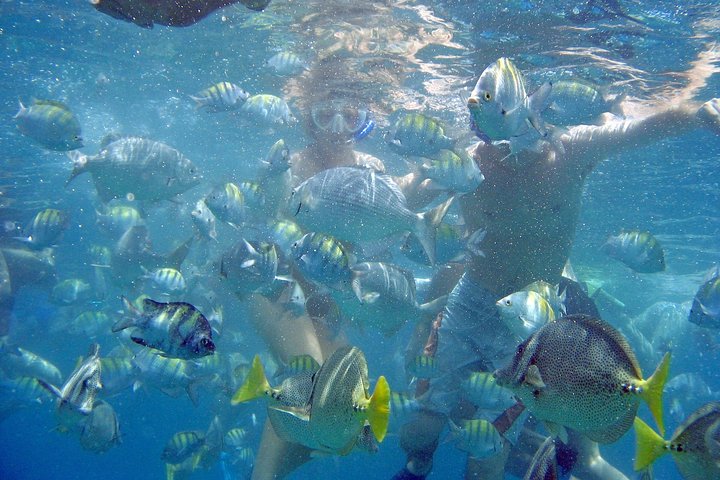 Enjoy the Snorkeling in Cabo!