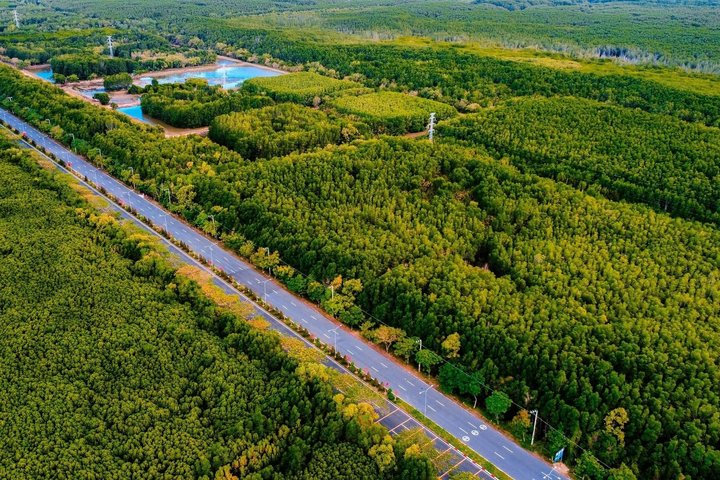 Can Gio Beautiful Nature Mangrove Forest Day Trip