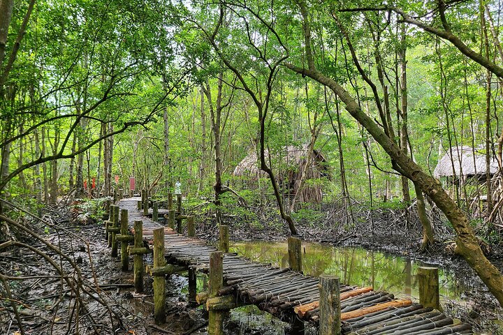 Can Gio Beautiful Nature Mangrove Forest Day Trip