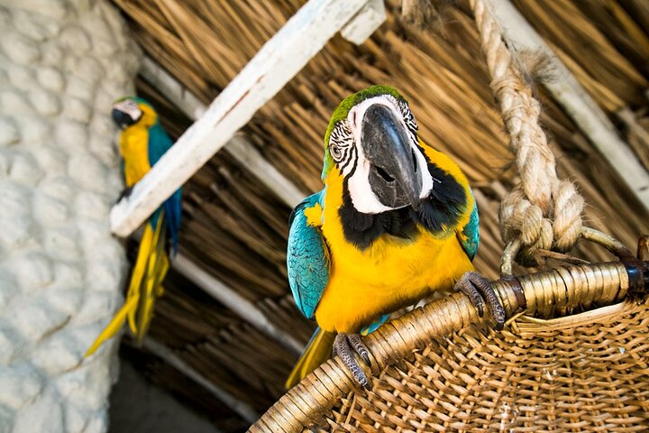 Cartagena Wellness Escape: Yoga, Massage & Beach Bliss