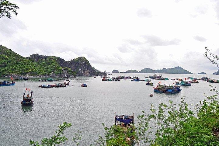 CAT BA ISLAND FULL-DAY ESCAPADE