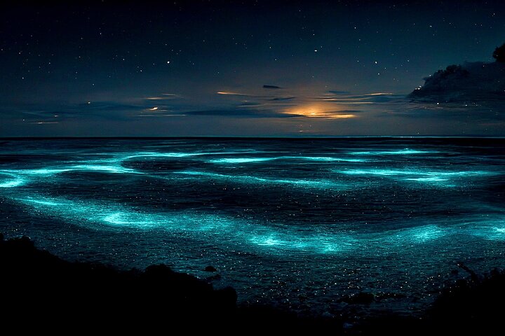 Cayman Bioluminescent Bay Night Tour
