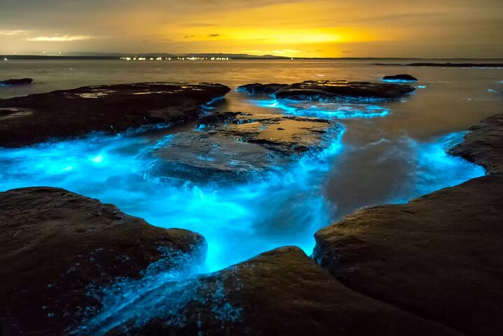 Cayman Bioluminescent Bay Night Tour