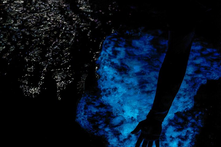 Cayman Bioluminescent Bay Night Tour