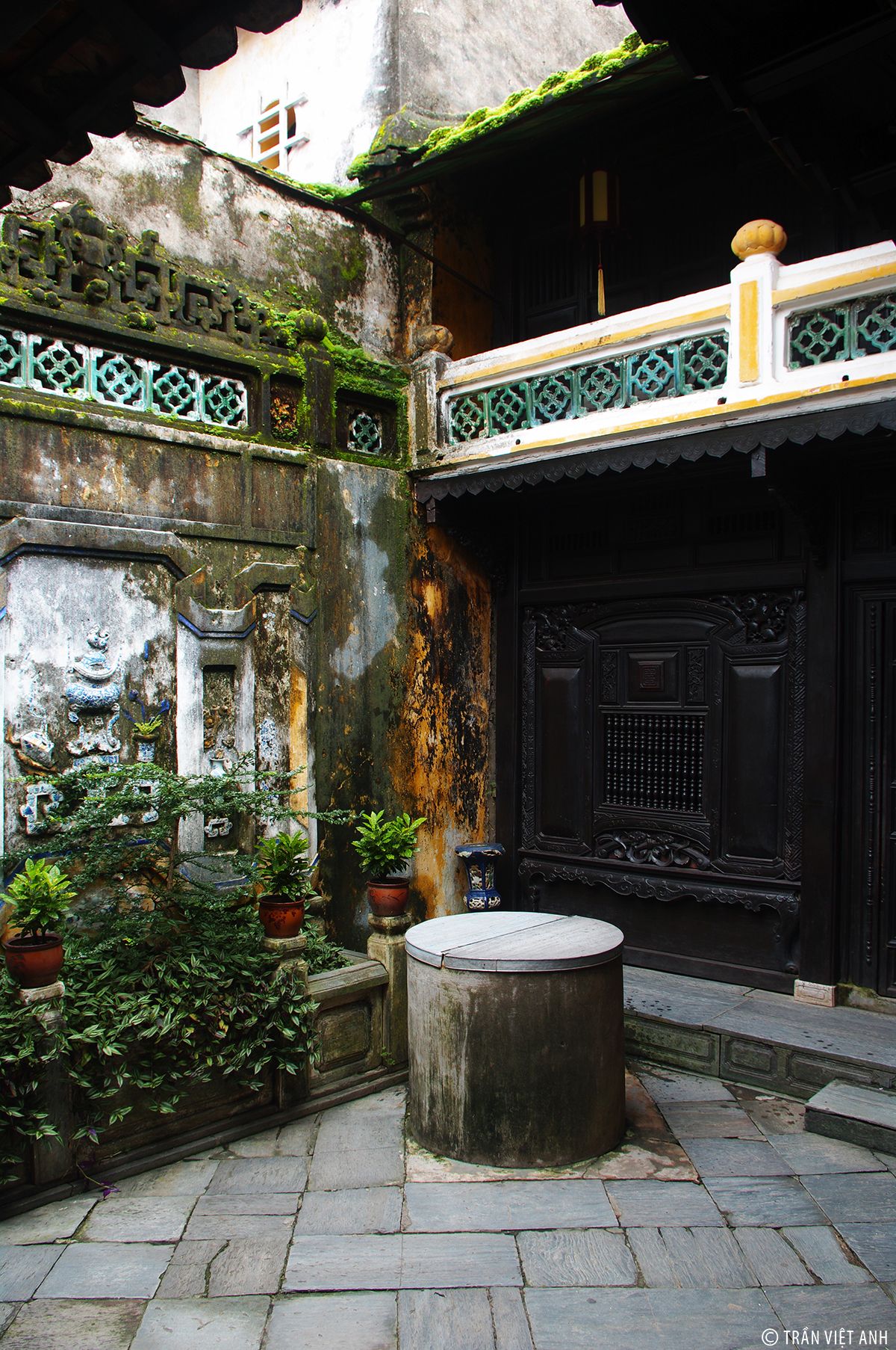 Coconut Jungle – Hoi An City & Release Flower Lantern