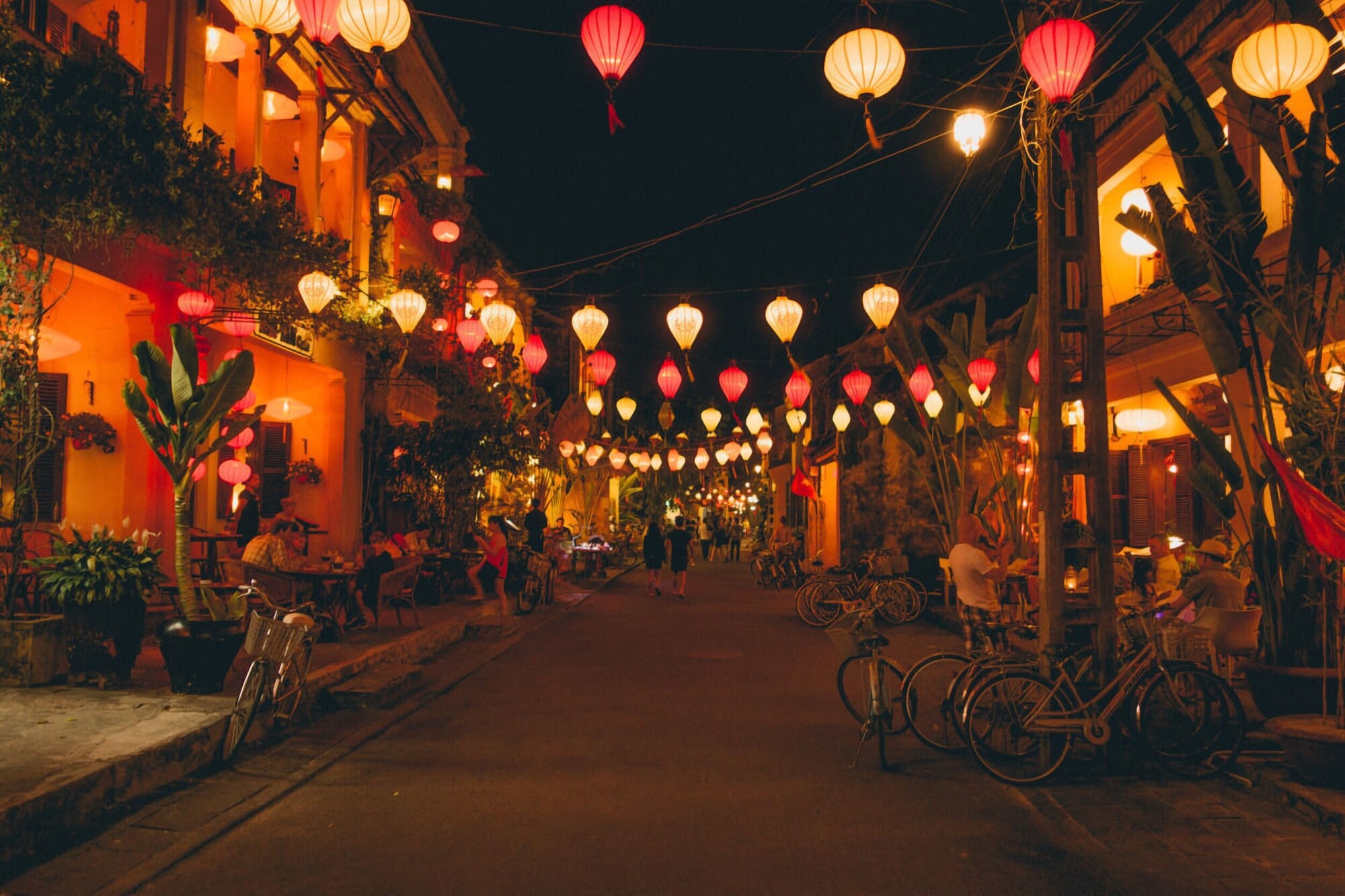 Coconut Jungle – Hoi An City & Release Flower Lantern