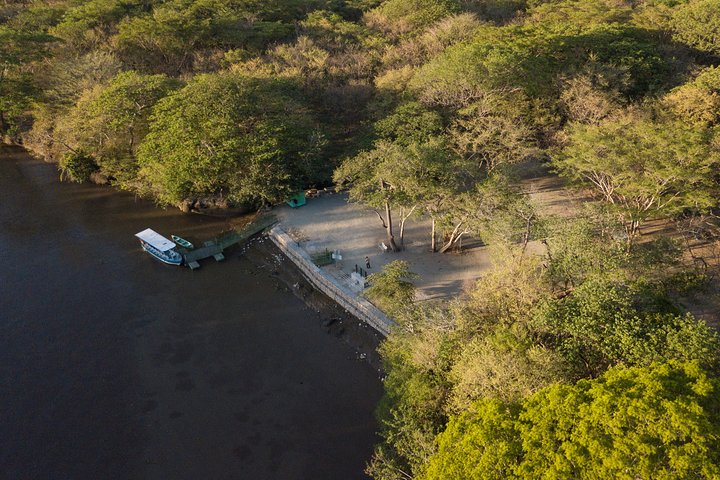 Costa Rica Crocodile & Birdwatching Boat Safari