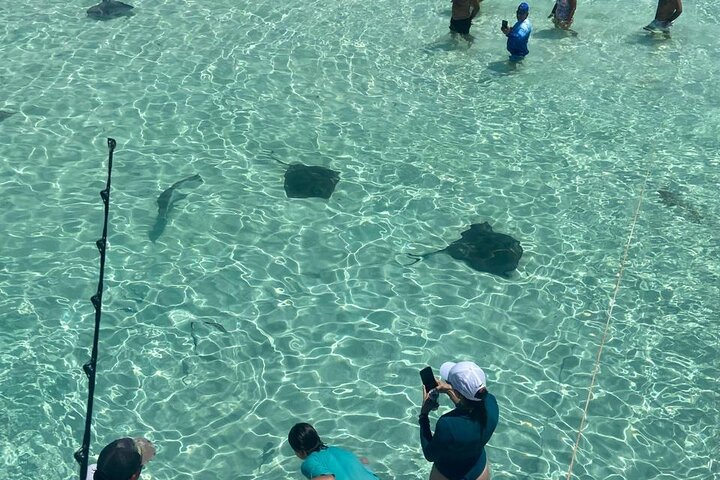 Cozumel Private El Cielo and Fishing Charter