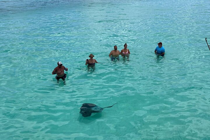 Cozumel shared Luxury Catamaran to El Cielo or Passion Island