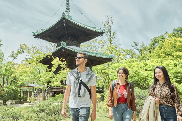 Cruise Stop-Over: Private Custom Day trip to Osaka from Kobe Port