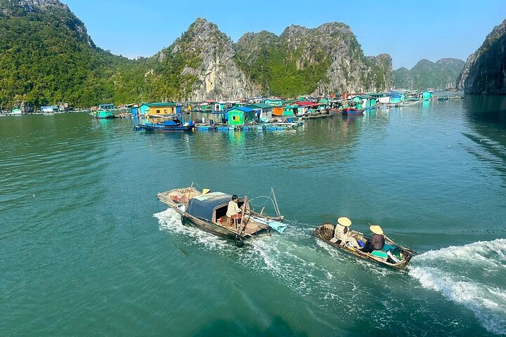 D'Charme Luxury Day Cruise Discover the Magic of Lan Ha Bay