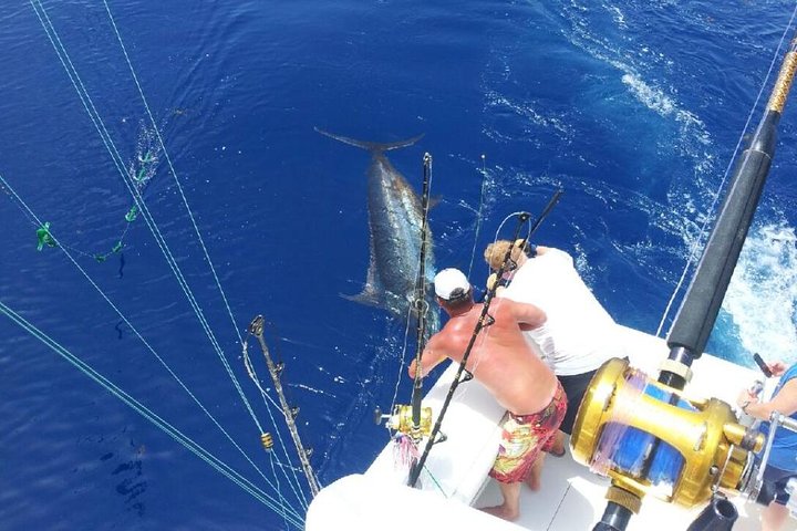 Deep Sea Fishing Tour