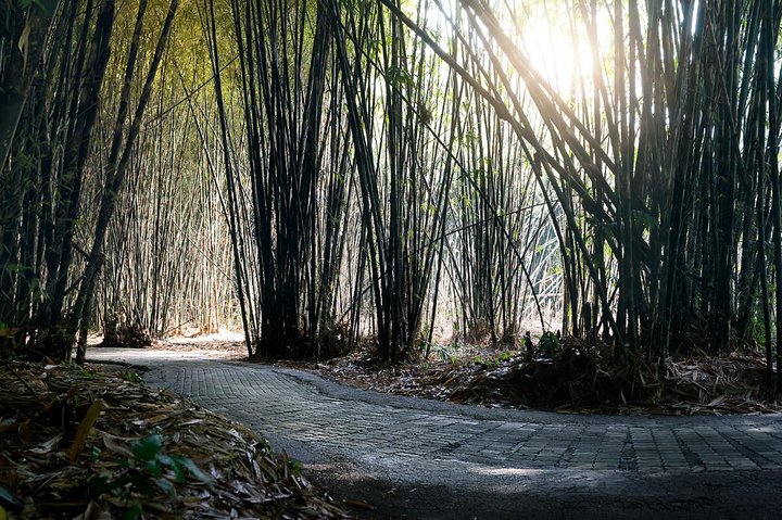 Discover Balinese Mystic & Death Ritual in Bali