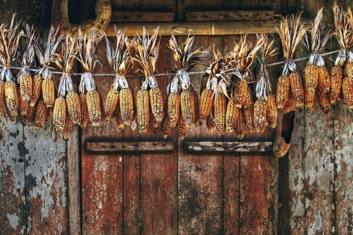 Discover Viet Hai Village by Bike & Kayak in Cat Ba Archipelago