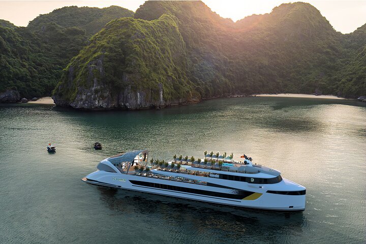 Dolphin Day Cruise – The Ultimate Modern Luxury on Halong Bay