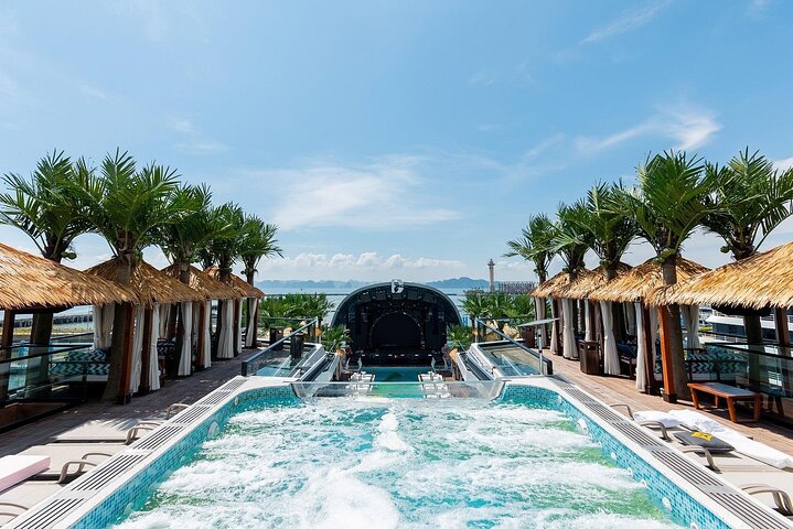Dolphin Day Cruise – The Ultimate Modern Luxury on Halong Bay