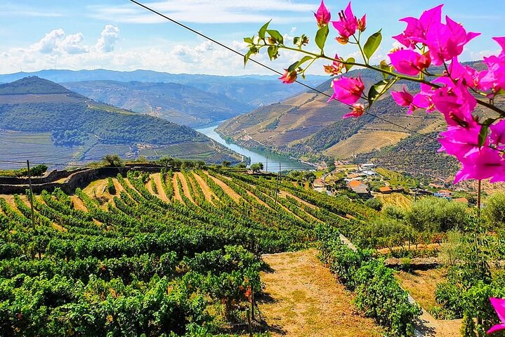 Douro Valley Small-Group Tour with Two Winery, Lunch & Boat Trip