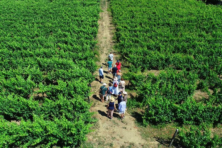 Douro Valley Wineries