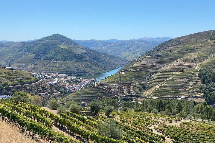 Douro Landscapes