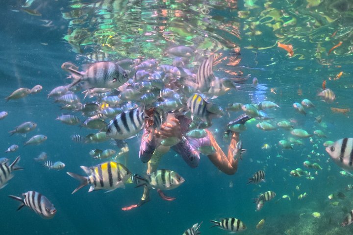 Exclusive snorkeling at Secret Gili reveals vibrant marine life and crystal-clear waters. A hidden gem perfect for an unforgettable adventure,
