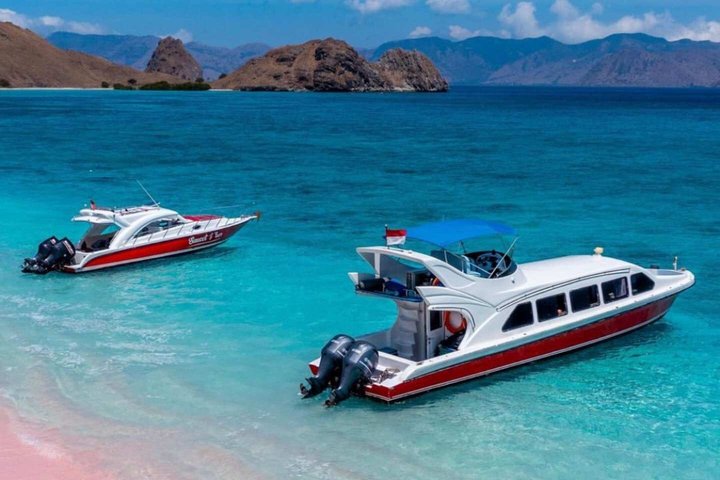 Exclusive Speed Boat Group Tour: One Day to Komodo Island