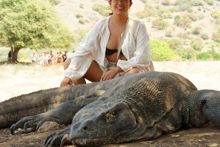 Exclusive Speed Boat Group Tour: One Day to Komodo Island