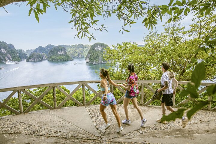 Exclusive Symphony Cruise Ha Long Bay Day Trip from Hanoi