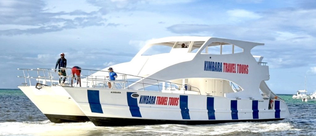 Explore Bavaro Beach Dolphin Watching, snorkeling, open bar