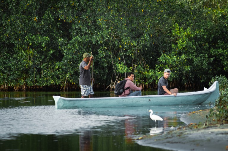 Explore La Boquilla’s Mangrove Tunnels with Local Fishermen