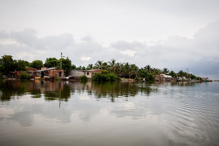 Explore La Boquilla’s Mangrove Tunnels with Local Fishermen