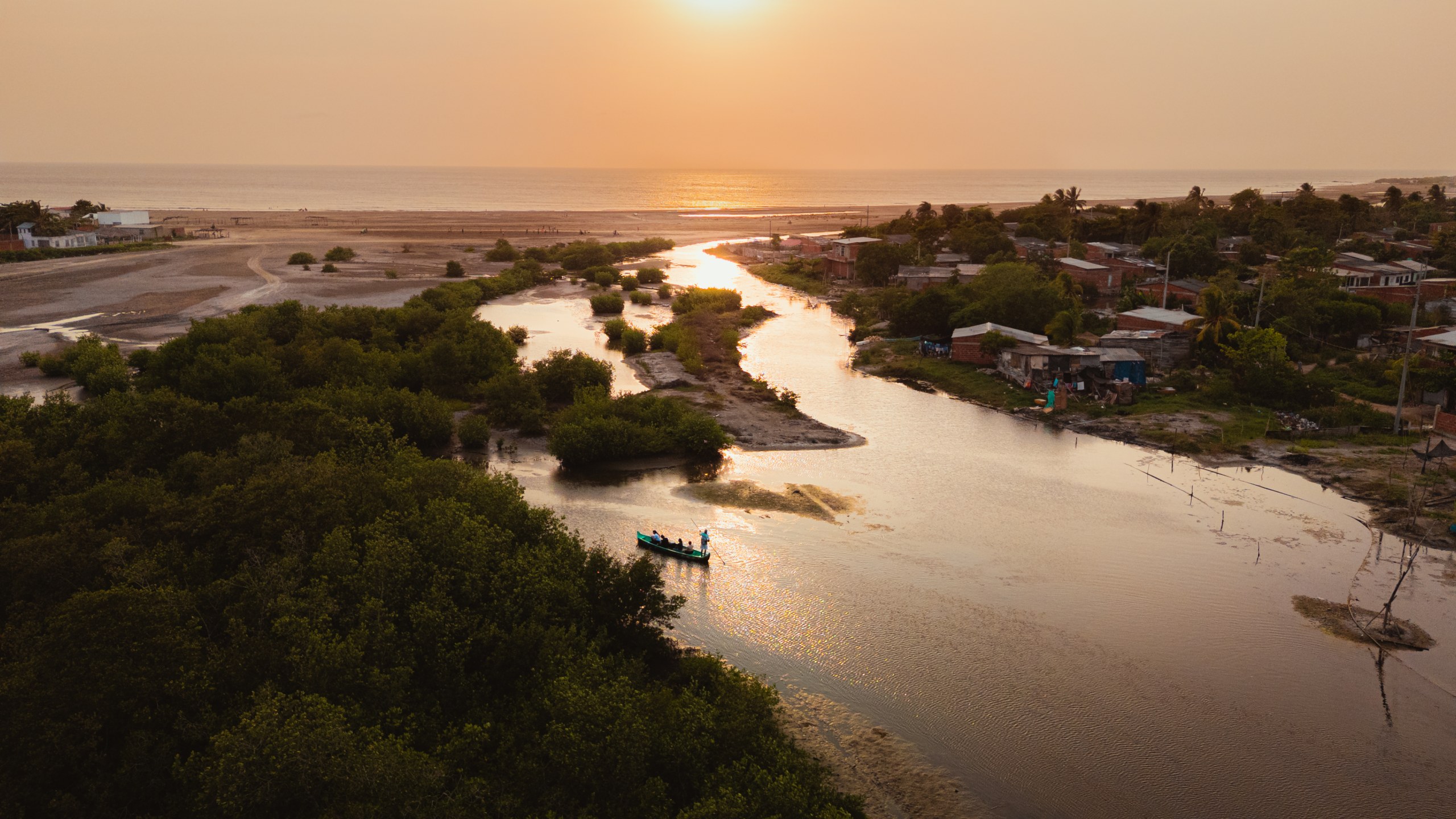 Explore La Boquilla’s Mangrove Tunnels with Local Fishermen