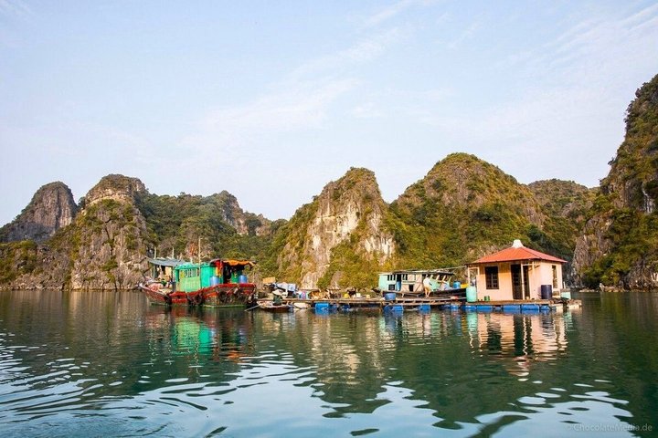 Explore Peaceful Bai Tu Long Bay in 3 Days with Renea Cruises