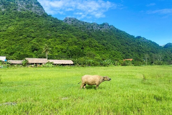 From CatBa, Lan Ha Bay Full-Day Boat Trip-Meals, Kayaking, Biking