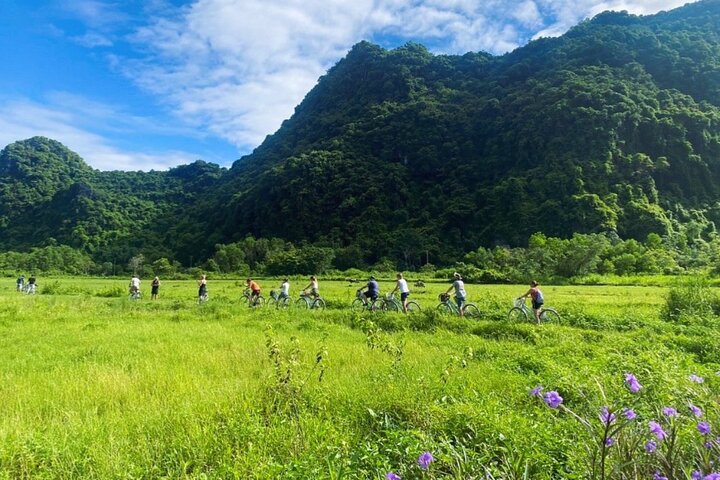 From CatBa, Lan Ha Bay Full-Day Boat Trip-Meals, Kayaking, Biking