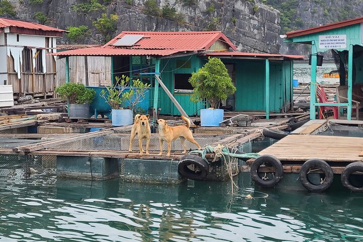 From Cat Ba: Luxury Sunset Cruise in Lan Ha Bay with kayaking