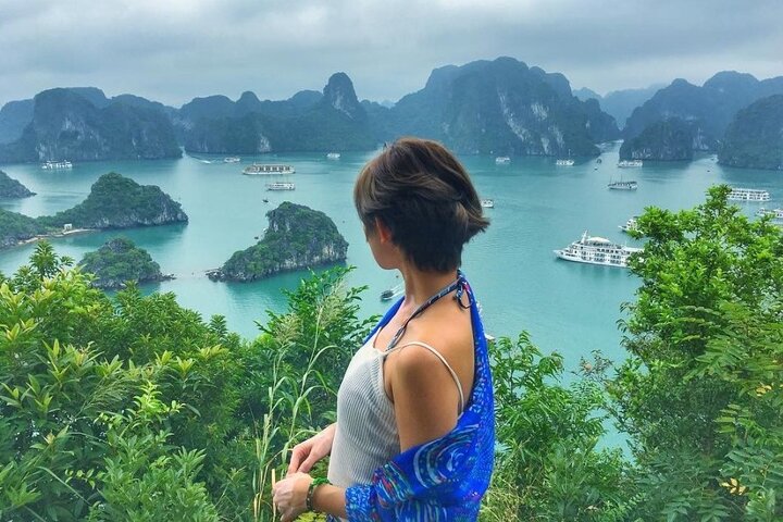 From Hanoi to Ninh Binh Tour and Ha Long Bay Cruise 2-Day Trip