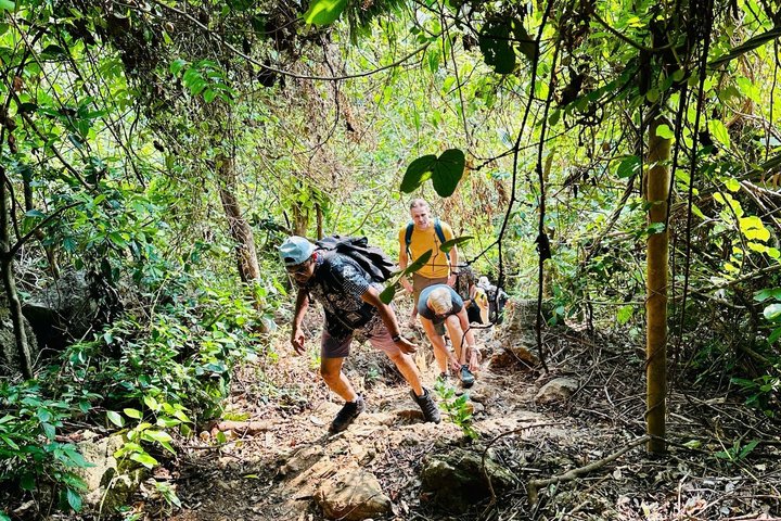 Full-Day Adventure: Trekking and Hiking in Cat Ba National Park