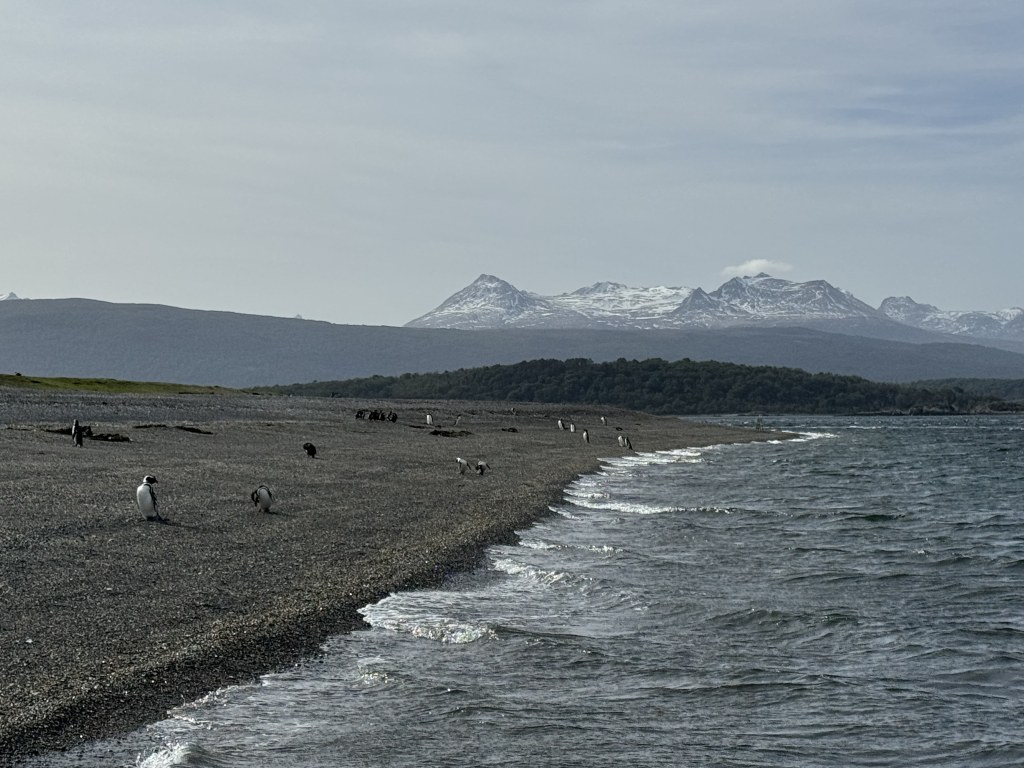 Full-Day Penguin Boat Excursion & Transfers Included