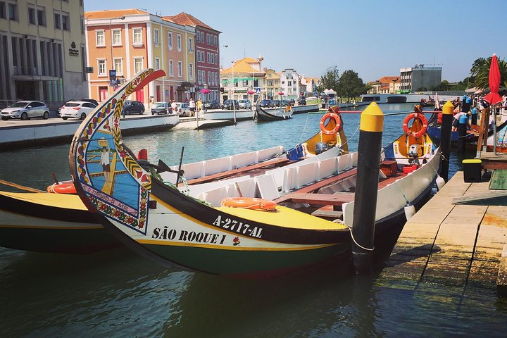 Moliceiro Boat