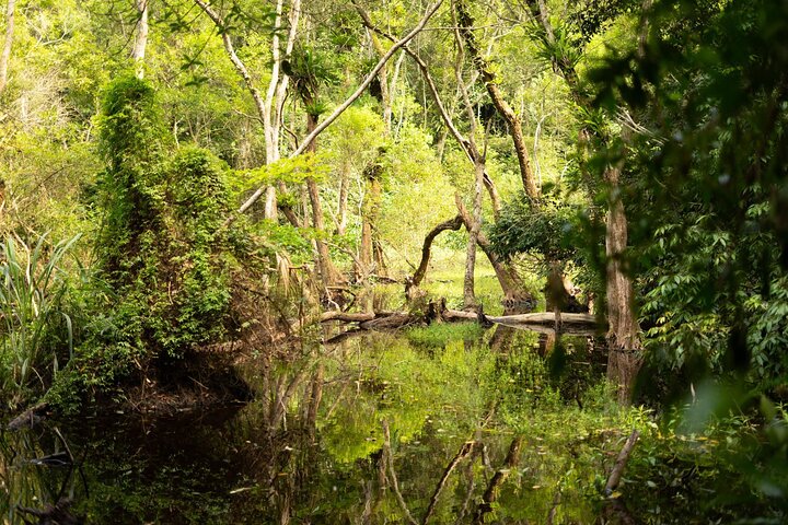 Full Day Trekking Cat Ba National Park, Viet Hai Village, biking