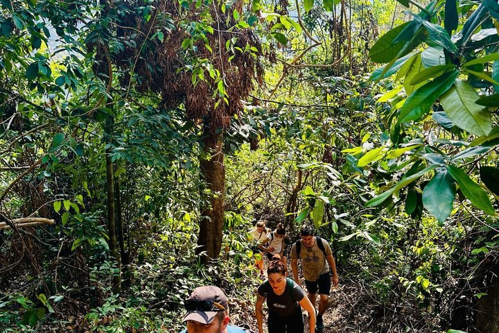 Full Day Trekking Cat Ba National Park, Viet Hai Village, Biking