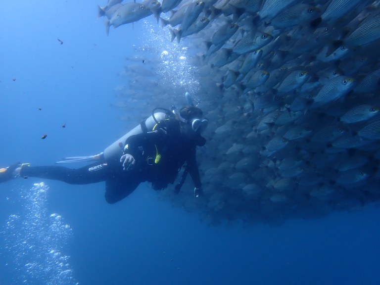 Scuba diver
