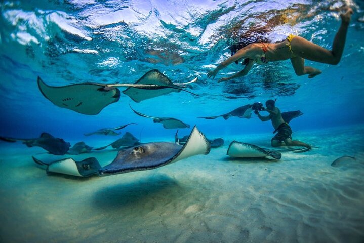 Grand Cayman Stingray City and Reef Snorkeling Adventure