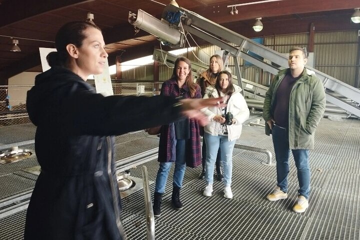 Winery exploration