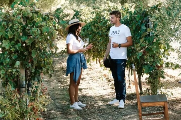 Tasting wine in the Nemea vineyard