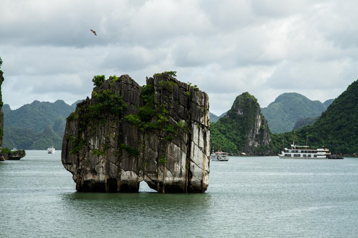 HA LONG BAY HALF-DAY DREAM CRUISE